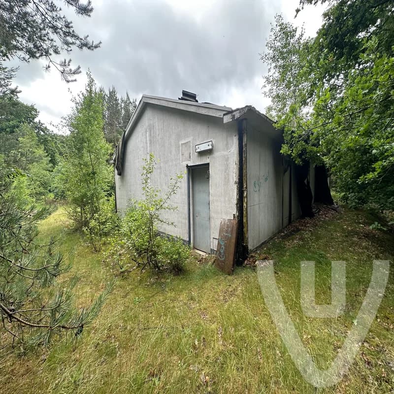 Forest House VW