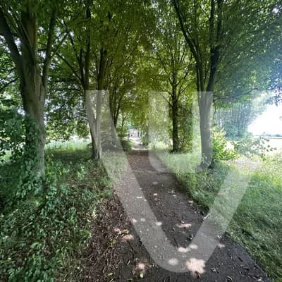 Community photo of Radar Love in Belgium by funnytyron - Photo 6