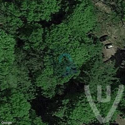 the Deadly Forest N abandoned location in Gelderland, Gelderland, Netherlands - Forest for urban exploration