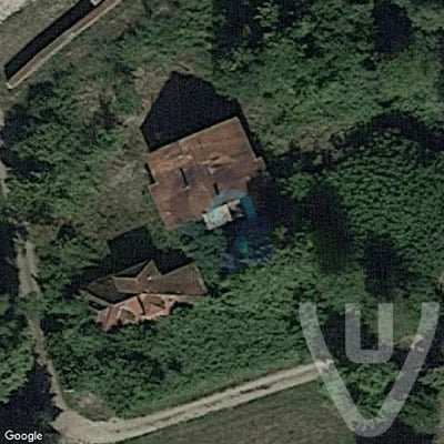 Jungle And Liana Houses abandoned location in Grand Est, Grand Est, France - House for urban exploration