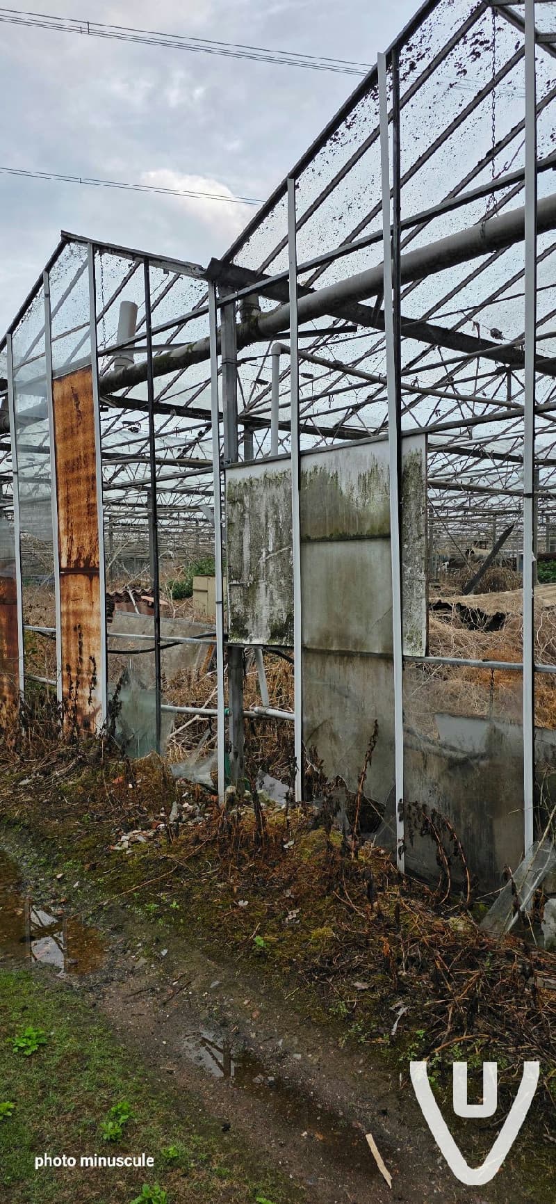 Greenhouse B