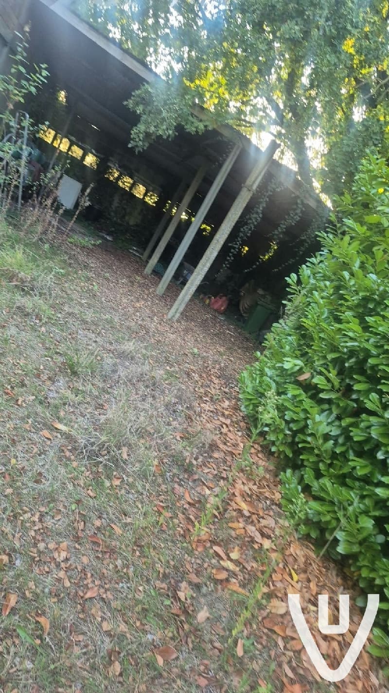 Maison Squirrel