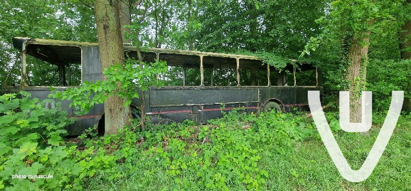The Black Bus